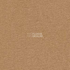 Ковролин Radici Nexus Gazzella 8203 фото 1 | FLOORDEALER